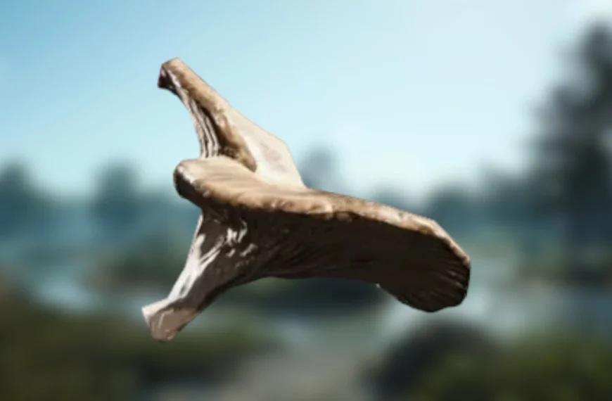 Champignons ARC Raiders : où trouver cette ressource naturelle pour Coquillard, votre coq ?