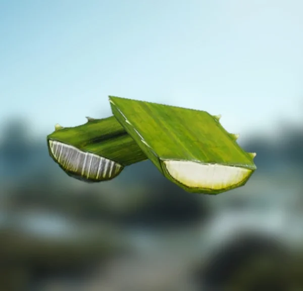 Agave ARC Raiders : où trouver cette ressource naturelle pour l'artisanat ?