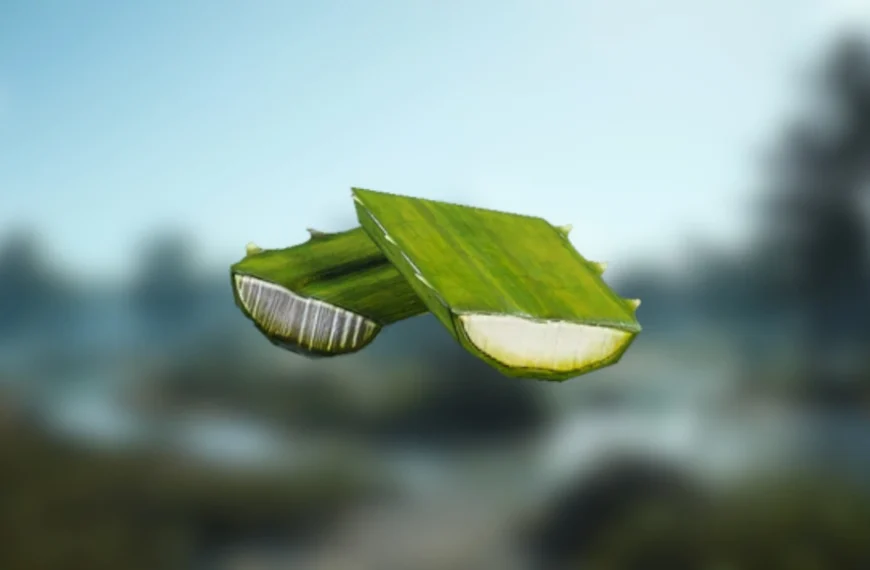 Agave ARC Raiders : où trouver cette ressource naturelle pour l'artisanat ?