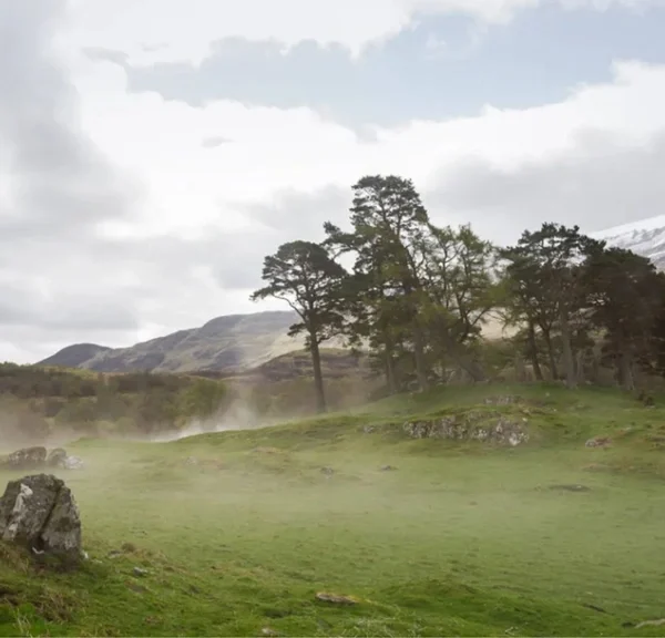 Netflix : après 12 ans de diffusion, cette série de romance et de drame qui a ému et bouleversé tous les abonnés va tirer sa révérence…