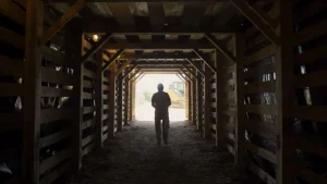 A voir gratuitement ce week-end : notée 92%, cette comédie déjantée n'est pas la plus connue en France mais elle mérite le détour