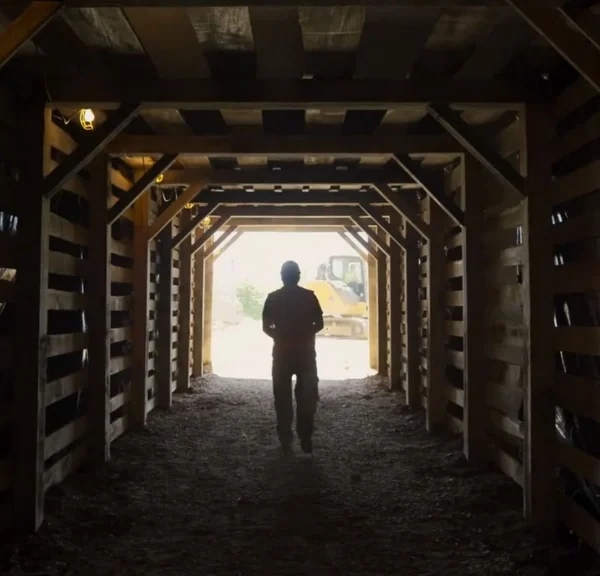 A voir gratuitement ce week-end : notée 92%, cette comédie déjantée n'est pas la plus connue en France mais elle mérite le détour