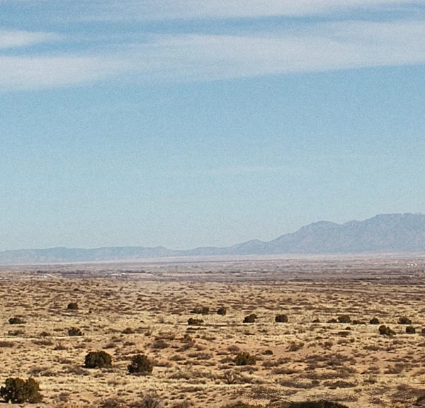 Ce film a été un échec au cinéma… mais le streaming lui donne une nouvelle jeunesse !