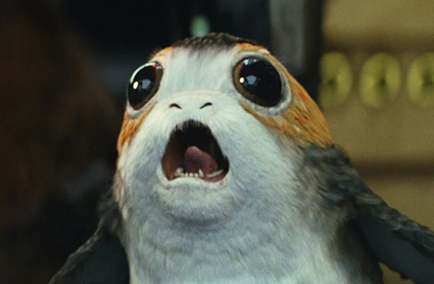 Star Wars : cette trilogie est désormais considérée comme "morte", et cela pourrait réjouir certains fans