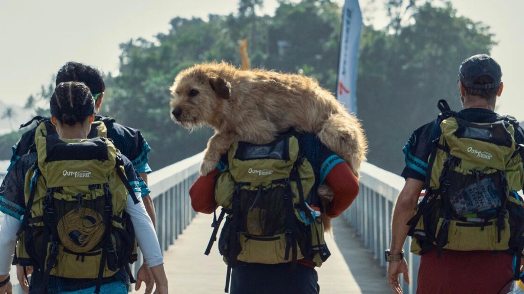 Amazon Prime : ce film d’aventure noté 97% par le public va vous bouleverser, vous allez encore plus aimer les chiens après l’avoir vu !