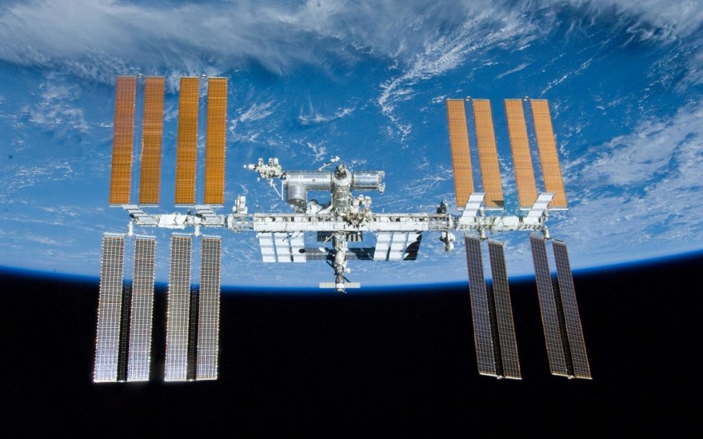 Cette protéine pourrait bientôt devenir la base de la nourriture spatiale, mais vous ne devinerez jamais d’où elle vient