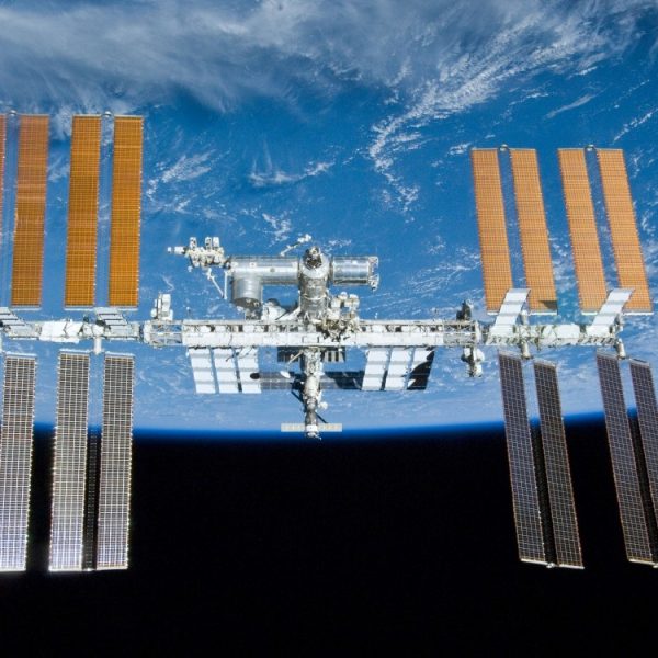 Cette protéine pourrait bientôt devenir la base de la nourriture spatiale, mais vous ne devinerez jamais d’où elle vient