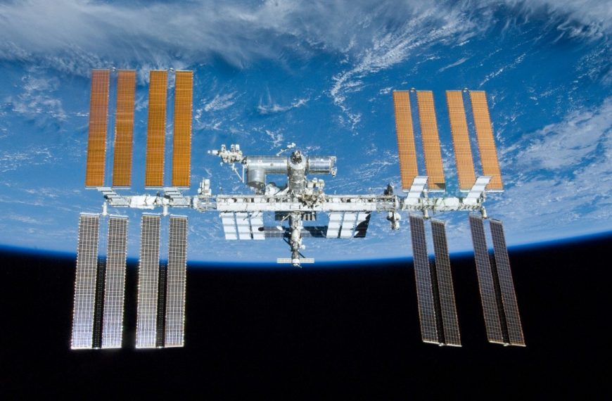 Cette protéine pourrait bientôt devenir la base de la nourriture spatiale, mais vous ne devinerez jamais d’où elle vient