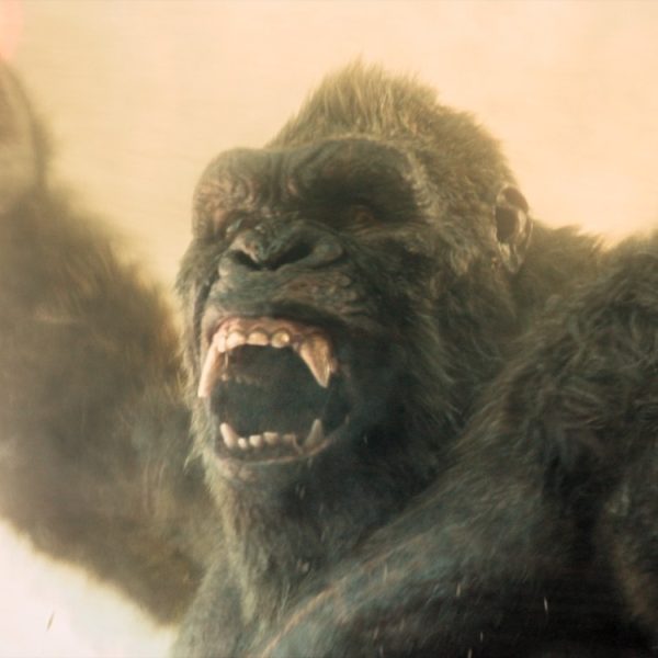 Monarch: Legacy of Monsters : préparez-vous à plonger dans le passé trouble du MonsterVerse, une série préquelle serait en préparation sur Apple TV