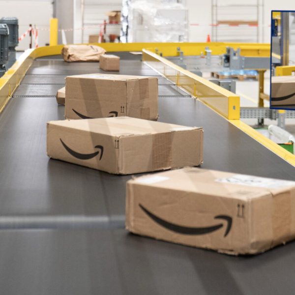 Après Shein, Amazon est épinglé pour la vente de poupées sexuelles enfantines en Suède