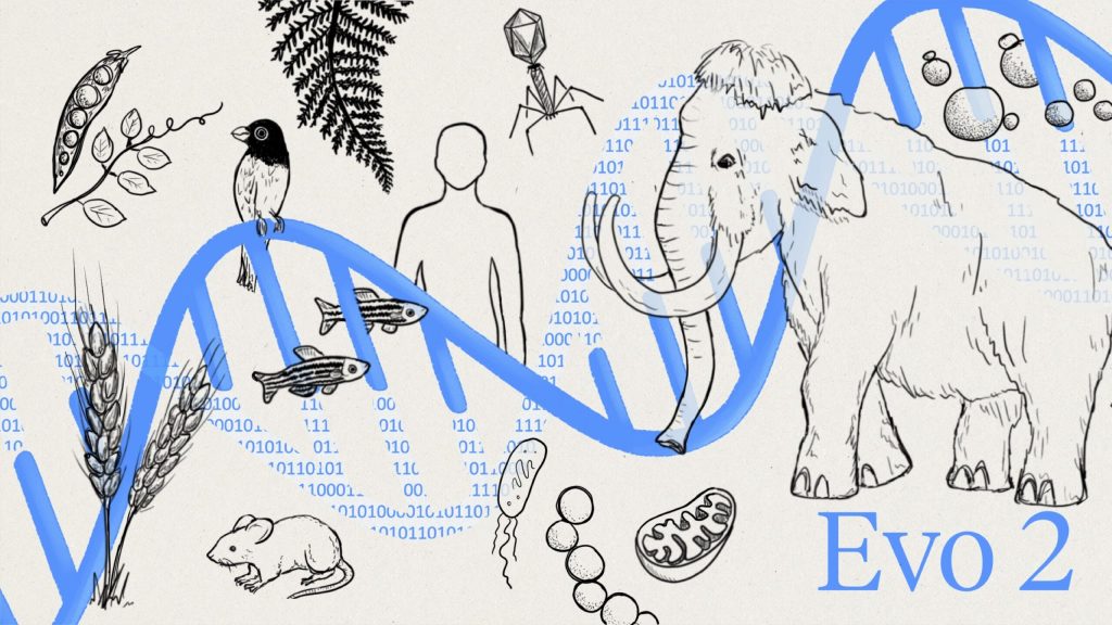 Evo 2 – L'IA qui écrit de l'ADN fonctionnel