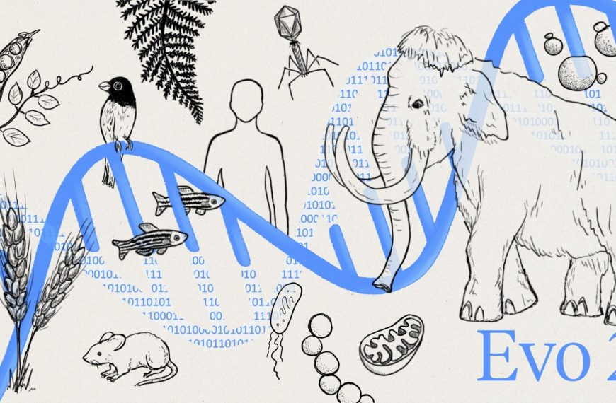 Evo 2 – L'IA qui écrit de l'ADN fonctionnel
