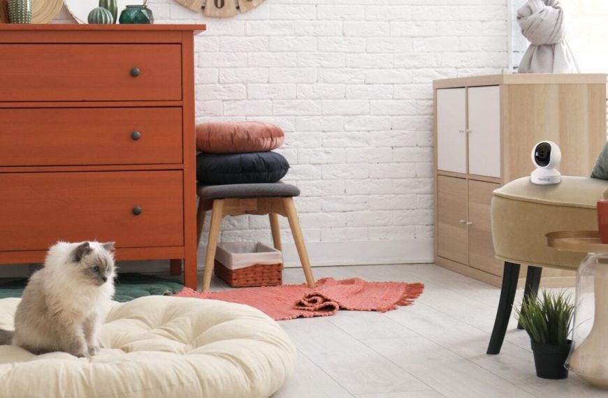 Ces caméras Reolink sont à prix FOU pour le Black Friday… et les stocks fondent déjà