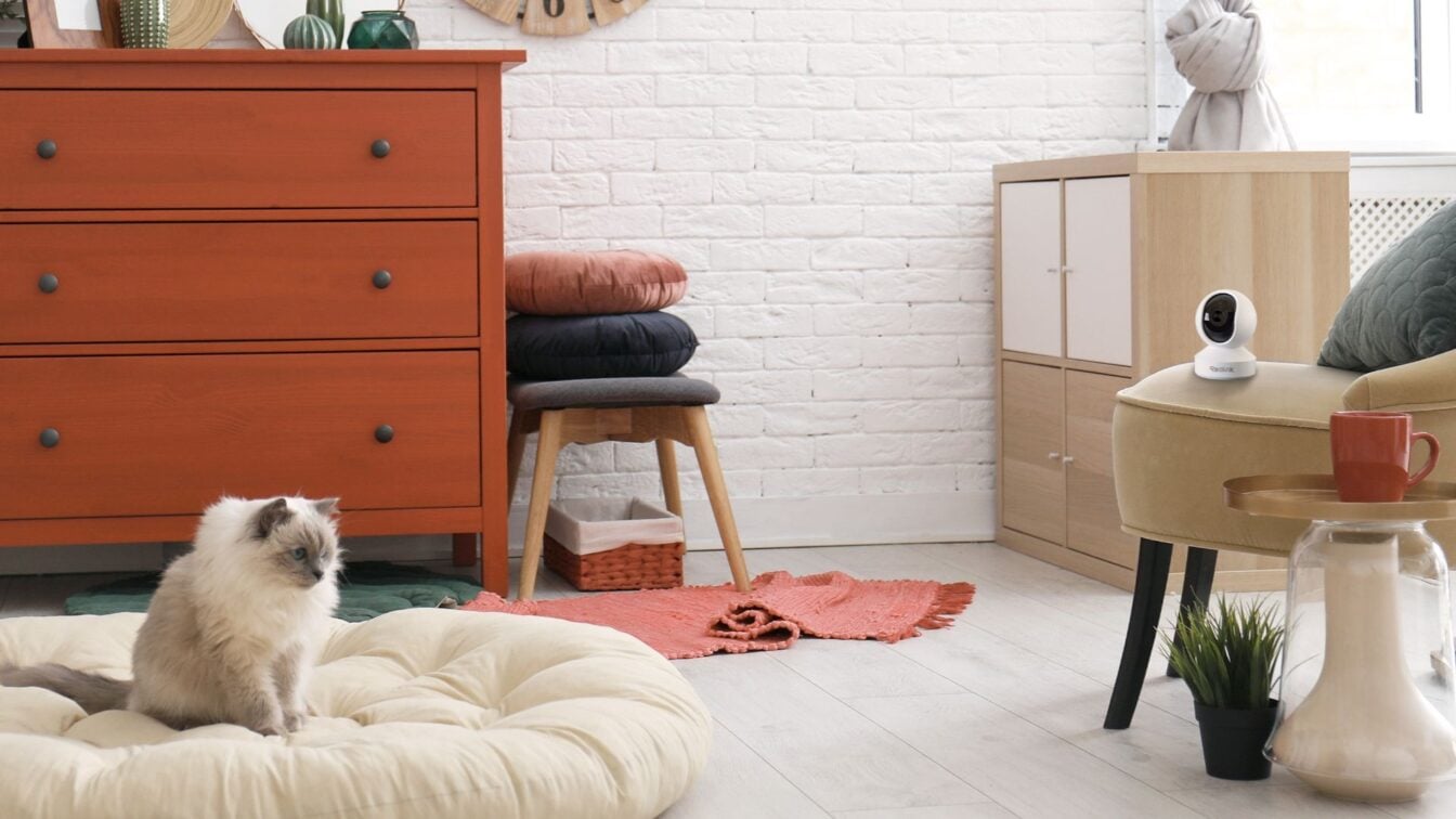 Ces caméras Reolink sont à prix FOU pour le Black Friday… et les stocks fondent déjà