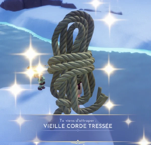 Vieille corde tressée Dreamlight Valley DLC : Où trouver cet objet et à quoi sert-il ?