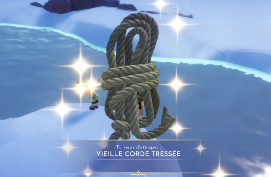 Vieille corde tressée Dreamlight Valley DLC : Où trouver cet objet et à quoi sert-il ?