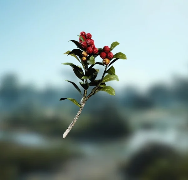 Baies-bougies ARC Raiders : où trouver cette nouvelle ressource naturelle ?