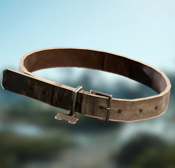 Collier pour chien ARC Raiders : où trouver cette ressource pour Coquillard, notre coq ?