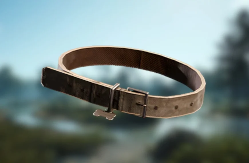 Collier pour chien ARC Raiders : où trouver cette ressource pour Coquillard, notre coq ?