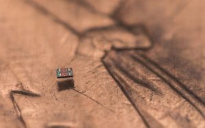 Ils dansent, nagent, font la taille d’un grain de sel et coûtent seulement un centime à produire : voici les plus petits robots autonomes au monde