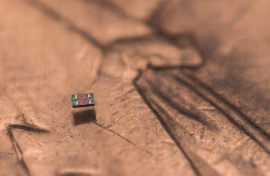 Ils dansent, nagent, font la taille d’un grain de sel et coûtent seulement un centime à produire : voici les plus petits robots autonomes au monde