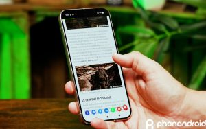 On vous conseille fortement d’installer la dernière mise à jour de votre Google Pixel si vous tenez à votre batterie