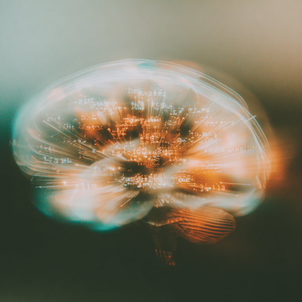 Fini le perroquet stochastique ? Le modèle o1 d'OpenAI comprend la structure du langage