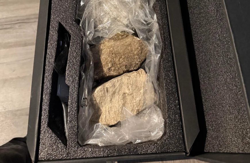 Il commande une RTX 5080 à 1200 dollars et reçoit une pile de cailloux (mais l’histoire se finit bien)