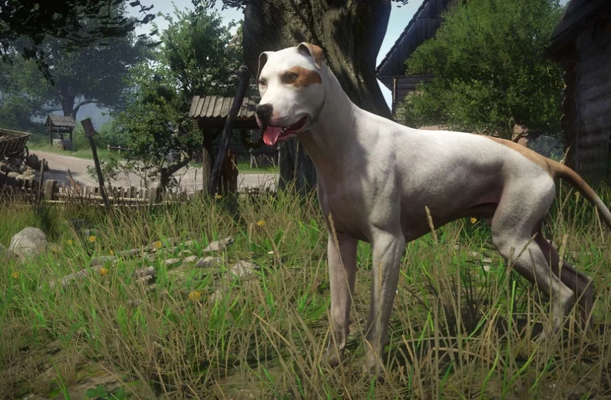 Cabot Kingdom Come Deliverance 2 : Comment récupérer son chien ?