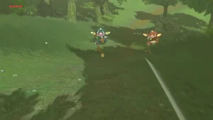 Zelda Breath of the Wild : vous ne l'avez jamais vu comme ça !
