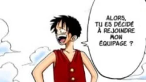 One Piece : et si c'était lui le prochain membre de l'équipage de Luffy ? Tous les signaux l'indiquent mais une chose me pousse à me méfier