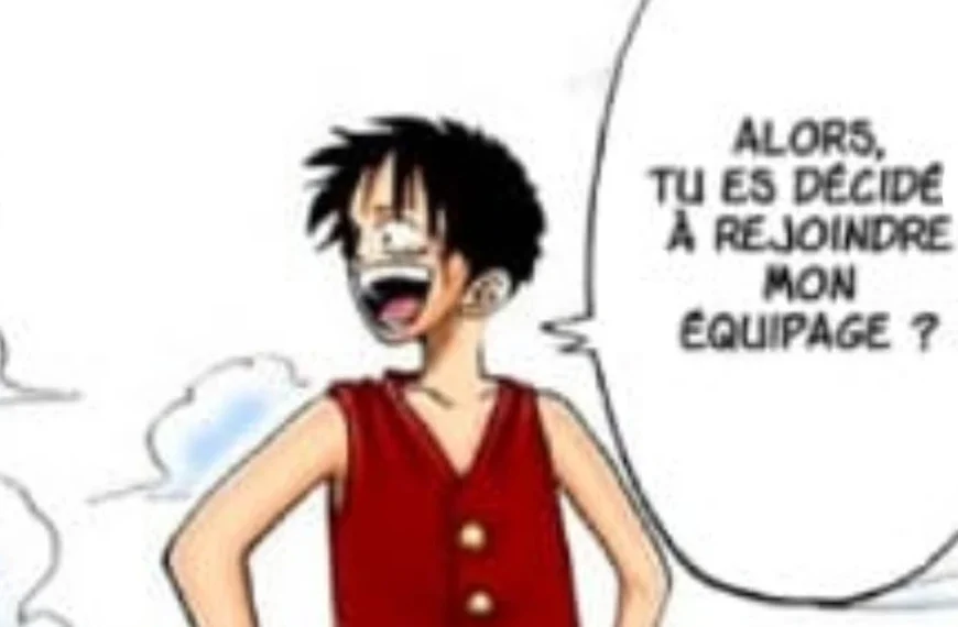 One Piece : et si c'était lui le prochain membre de l'équipage de Luffy ? Tous les signaux l'indiquent mais une chose me pousse à me méfier