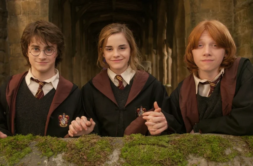 LEGO célèbre Harry Potter avec des sets que les fans attendaient depuis longtemps