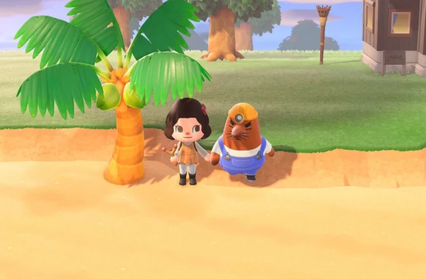 Resetti Animal Crossing New Horizons : comment le débloquer et utiliser ses services ?