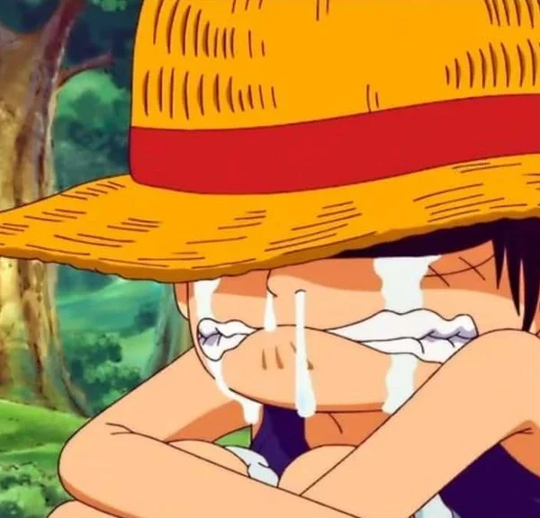 Mauvaise nouvelle pour les fans de One Piece : la patience va devenir une vertu
