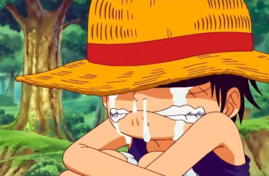 Mauvaise nouvelle pour les fans de One Piece : la patience va devenir une vertu