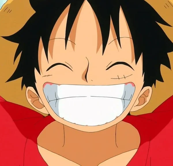 One Piece : où voir l'intégralité de la série animée et tous les films en streaming ?