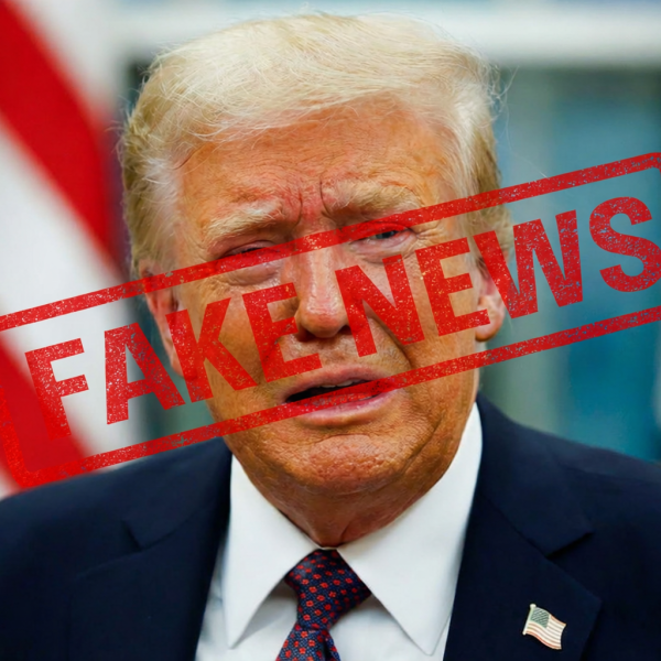 La Maison Blanche utilise l'IA pour transformer une opposante en "femme hystérique"