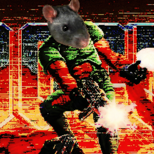 Ces rats jouent à DOOM avec un casque VR