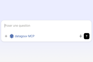 Data.gouv.fr expérimente un serveur MCP