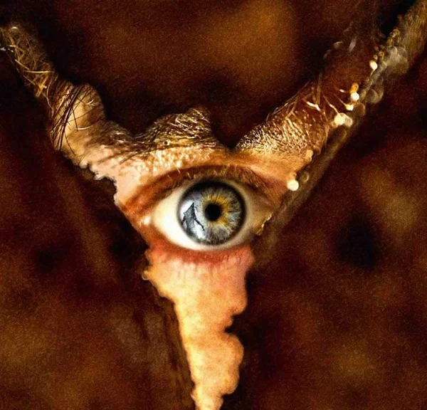 Retour à Silent Hill : ces 7 différences majeures avec le jeu vidéo Silent Hill 2 qui vont faire hurler les fans