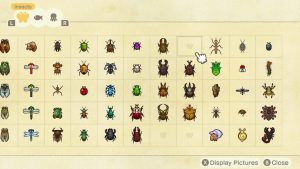 Insectes février Animal Crossing New Horizons : la liste complète