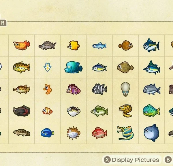 Poissons février Animal Crossing New Horizons : la liste complète