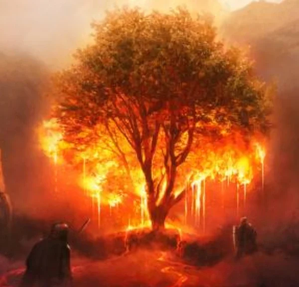 Des milliers d'utilisateurs ont été remboursés après la débâcle de ce jeu vidéo très attendu