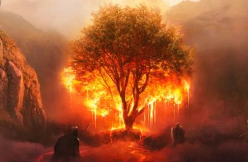 Des milliers d'utilisateurs ont été remboursés après la débâcle de ce jeu vidéo très attendu