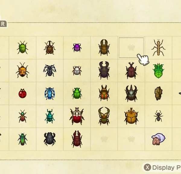 Insectes mai Animal Crossing New Horizons : la liste complète