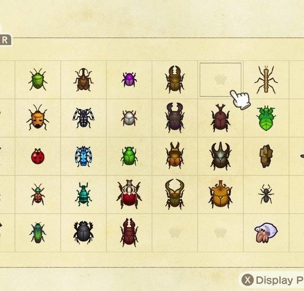 Insectes juillet Animal Crossing New Horizons : la liste complète