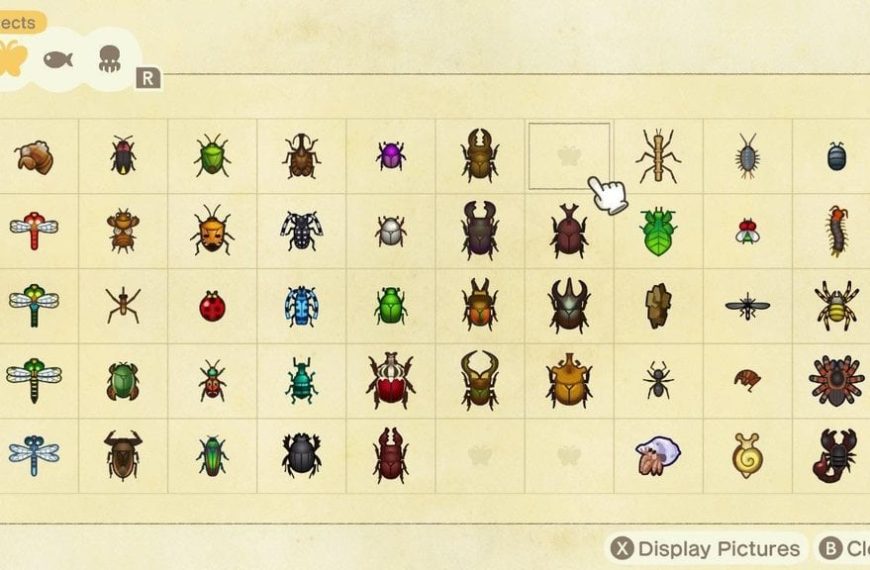 Insectes juillet Animal Crossing New Horizons : la liste complète