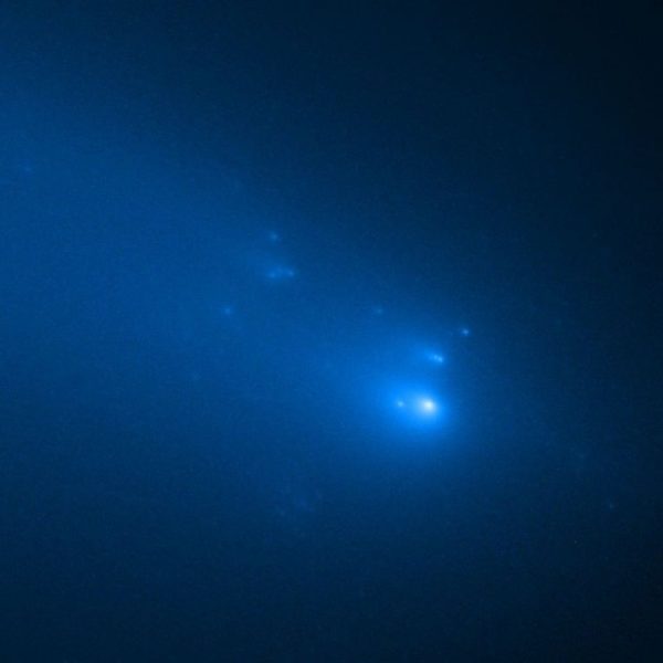 Le destin mystérieux de C/2019 Y4 ATLAS ou comment une occasion manquée est transformée en chance pour la science