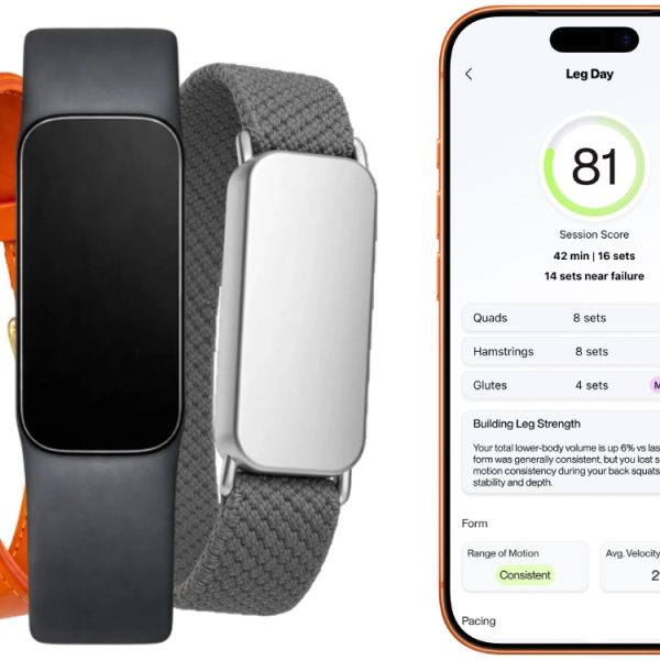 Des ex-ingénieurs Tesla lancent Fort, un bracelet fitness plus précis que ses rivaux